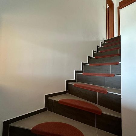 Dum Hermanicky Ngoại thất bức ảnh